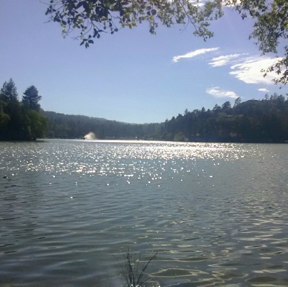 Meet your Posher, Krystle - Picture 6 of 16